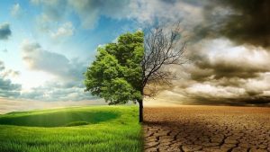 emergencia climática España