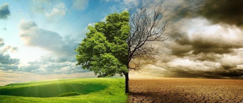 El Gobierno aprueba este martes la declaración de emergencia climática y se compromete a adoptar el paquete de energía en los primeros 100 días