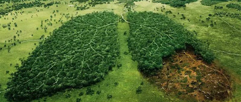 La economía española pierde 65 millones de euros cada día por culpa de la contaminación que producen carbón, petróleo y gas