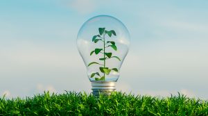 El precio de la luz cae un 32% en abril por la generación renovable