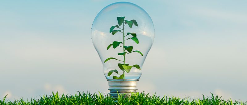 El precio de la luz cae un 32% en abril por la generación renovable