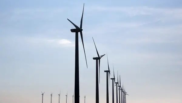 La economía necesita de las renovables