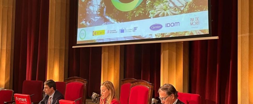 Más de 500 hoteles se unen para ahorrar un 30% de energía mediante fondos europeos