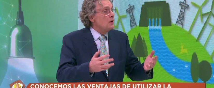 Guillermo Amann, portavoz de El Foro para la Electrificación, en TeleMadrid.