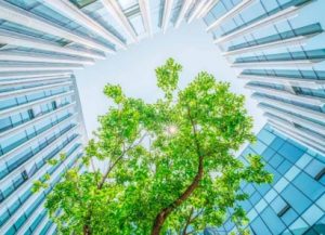 La UE exigirá que la mitad de la energía de los edificios sea renovable en 2030