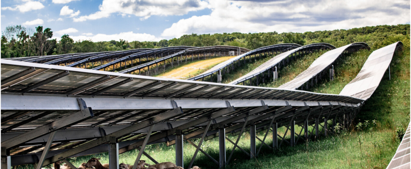 La agrovoltaica lleva décadas como una gran promesa de las renovables. Ya sabemos cuál es su potencial en Europa